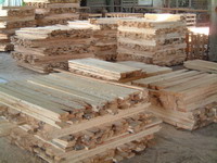 Rubber Wood Plant and Industry CSB-12