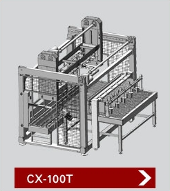 CARTON PACKER MODEL CX 100T