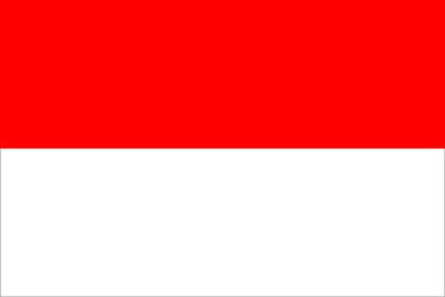 Indonesian Translation Service