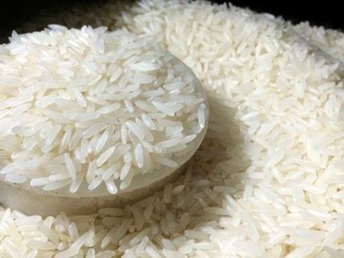 Rice 10%