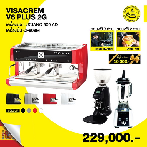 VISACREM V6 PLUS 2G