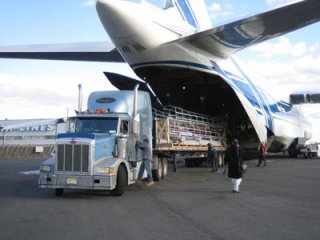 International Air Freight Forwarder 
