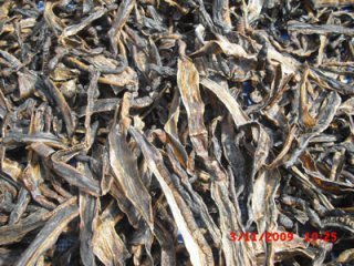 Dried Leeches Distributor