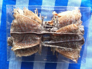 Dried Geckos Nakhon Phanom