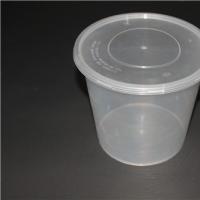 Reusable Plastic Container-Big Bowl 2500ml