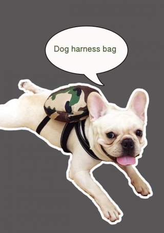 Bangkok dog harness bag