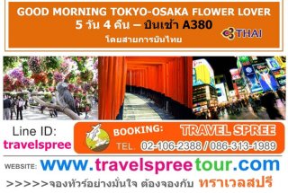ทัวร์ญี่ปุ่น โตเกียว โอซาก้า GOOD MORNING TOKYO-OSAKA FLOWER LOVER 5 วัน 4 คืน