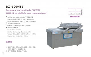 Automatic Vacuum Packer Model DZ600 4SB