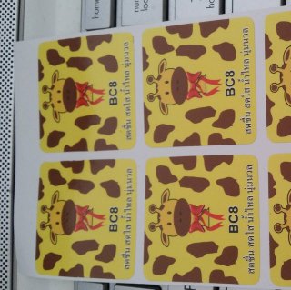 Quality Stickers Printing Service
