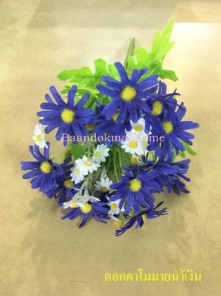 ดอกคาโมมายล์ สีน้ำเงิน