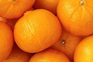 ส้มฮันนี่เมอคอต