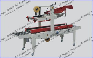 AUTOMATIC FLAPS FOLD SEALER MODEL FX AT 5050