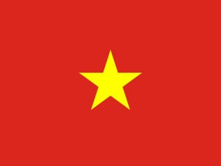  Vietnamese Translation Service