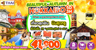 HOK13 BEAUTIFUL AUTUMN IN HOKKAIDO 5D 3N BY TG​