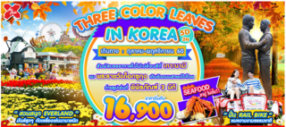 KR24 THREE COLOR LEAVE IN KOREA 5D3N BY XJ