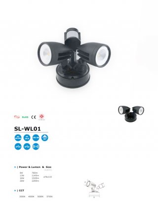 โคมไฟ LED Wall Light รุ่น SL-WL01