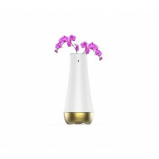สมาร์ทโฮม รุ่น Dream Flower (Smart Vase)