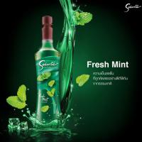 Senorita Syrup Fresh Mint Flavour