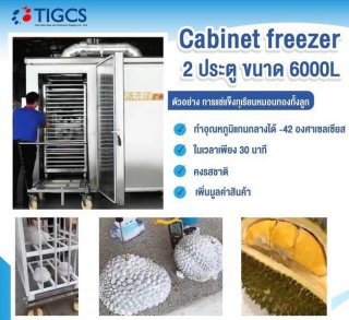 ตู้แช่แข็ง Cabinet Freezer 6000L