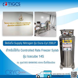 Supply Nitrogen รุ่u Dura Cyl 230LP