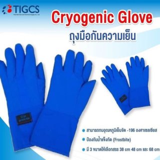 Cryogenic Glove ถุงมือกันความเย็น