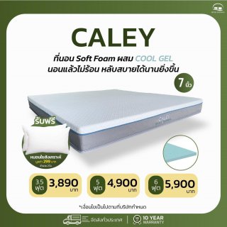 ที่นอน Soft Foam ผสม Cool Gel รุ่น CALEY