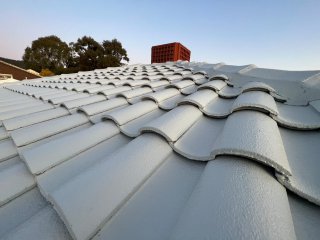 Roof Painting