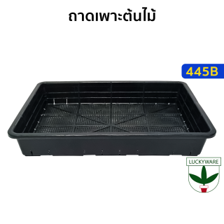 445B กระจาด/ถาดเพาะต้นอ่อน (ราคายกโหล)