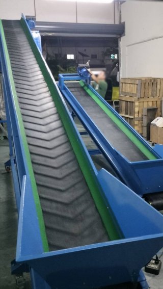 ระบบลำเลียงผักผลไม้