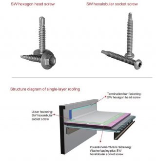 Flexible Roofing Truss Head Screw Sw5.5. /6.3*L