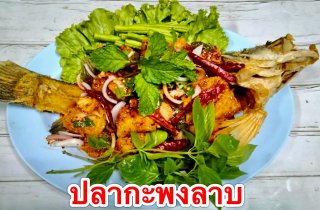 เซตยอดนิยม 2300 บาท