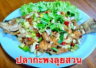 เซตไฮโซ 2500 บาท