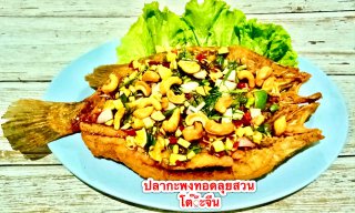 เซตไฮโซ 2500 บาท