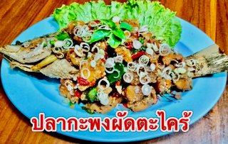 โต๊ะจีนพร้อมเต็นท์