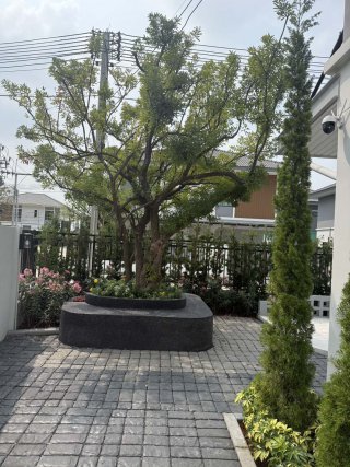 รับปูแผ่นพื้นทางเดินสวน