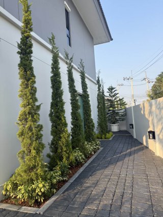 รับปูแผ่นพื้นทางเดินสวน