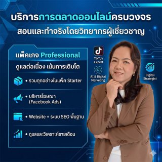 แพ็คเกจ Professional