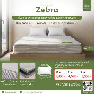 ที่นอนสปริงราคาประหยัด