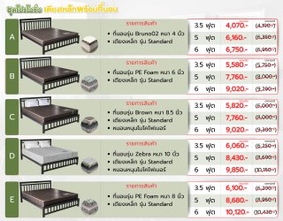 เตียงเหล็กพร้อมที่นอน ราคาถูก