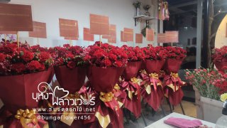 แสตนดอกไม้สไตล์จีน ญี่ปุ่น