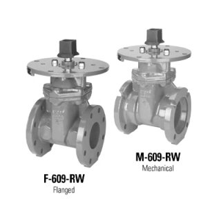 Gate Valve F-609-RW