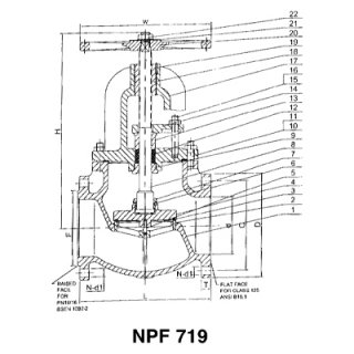 Globe Valve NPF-719