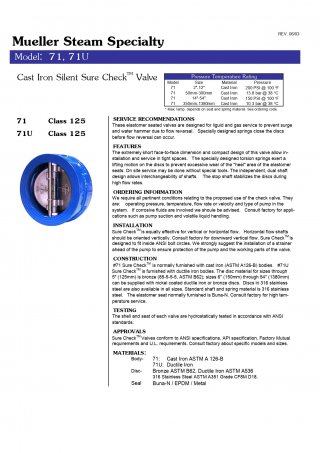 MUELLER รุ่น 71-AHH-6-H,Class Check Valve Size4
