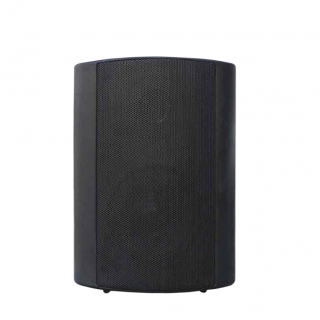 Perion PSM-300 Wall Mount Speaker
